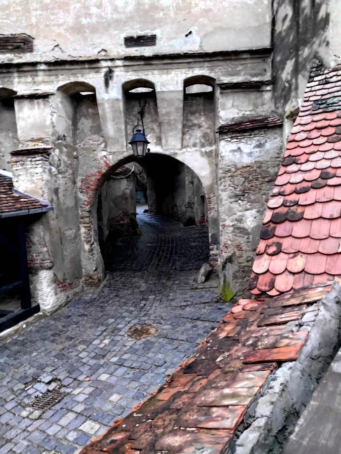 Horea 11 Сигишоара Экстерьер фото