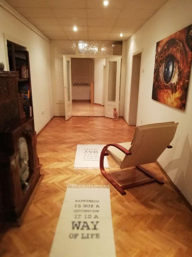 Horea 11 Сигишоара Экстерьер фото